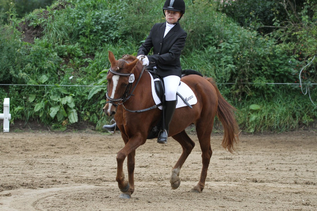 Bild 985 - WBO-Turnier am 18.9.11